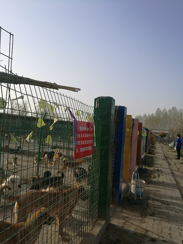 微信圖片_20180328164308.jpg 微信圖片_20180328164308.jpg